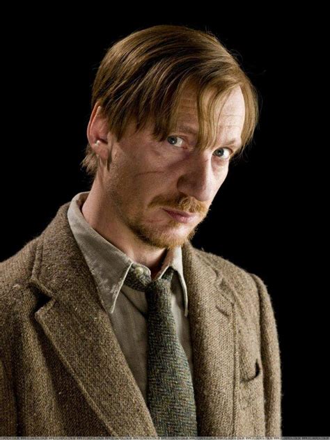 remus harry potter|who killed professor lupin.